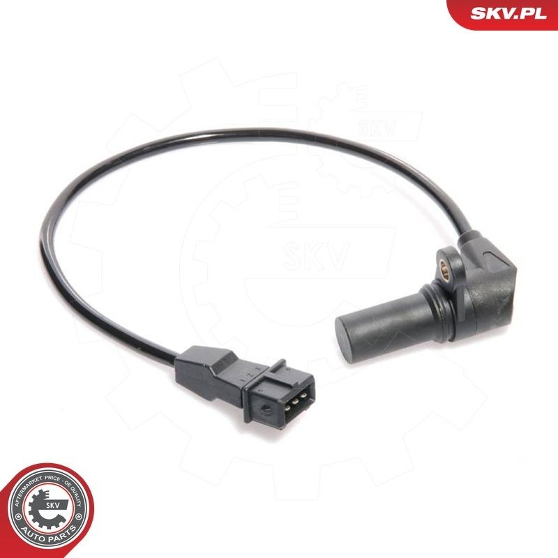 17SKV219 SKV
